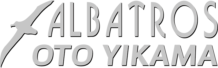 ALBATROS OTO YIKAMA 